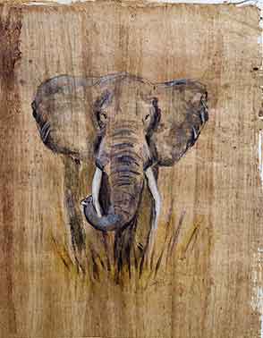 Elefant