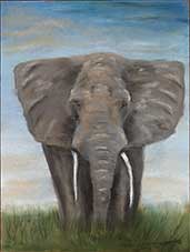 Elefant