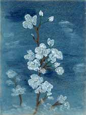 Kirschblüten