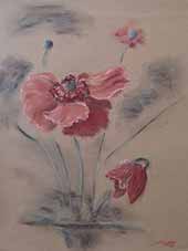 Mohn