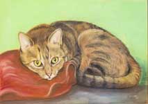Liegende Katze